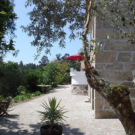 Villa Lugar Do Pego Tondela Bagian luar foto